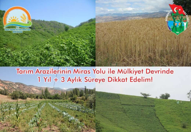 Araziler, Miras Yolu ile Bölünemeyecek